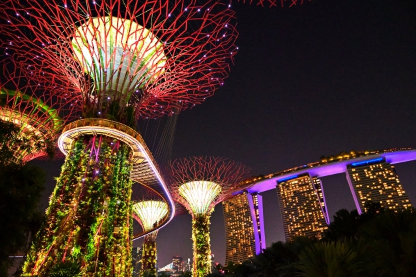 ガーデンズ・バイ・ザ・ベイ スーパーツリーグローブ