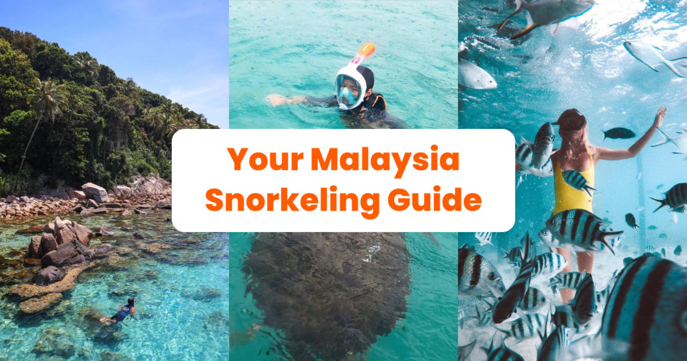 Top 10 Best Snorkelling Sites In Malaysia 2022