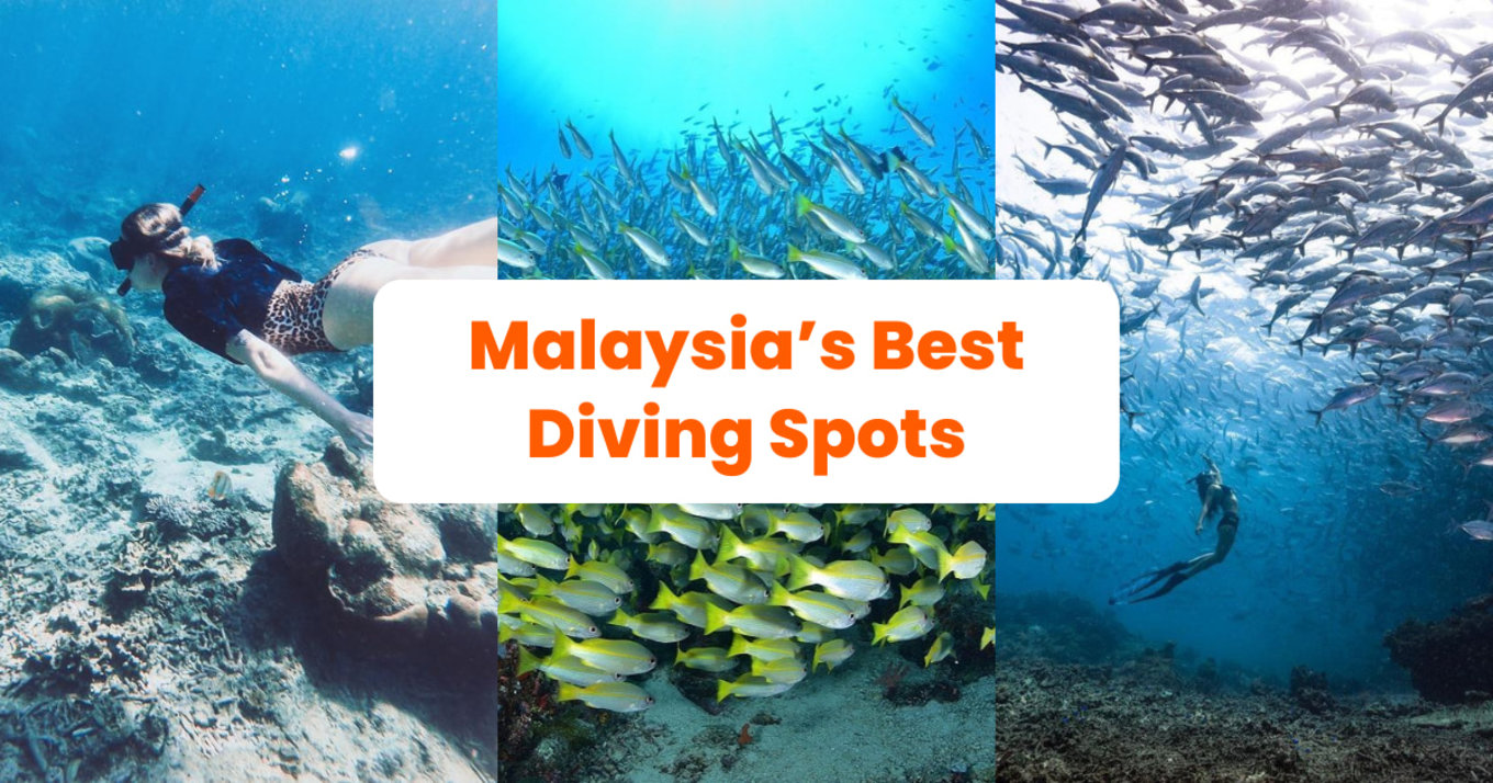 Top 12 Best Dive Locations In Malaysia