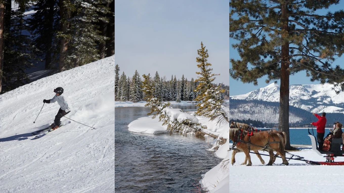 winter in us head banner
