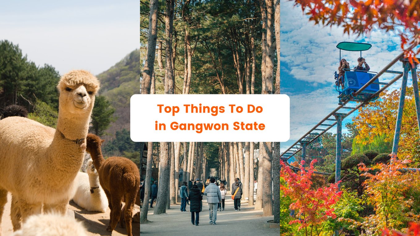 Top things to do in Gangwon State