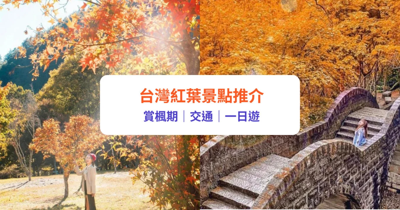 台灣紅葉推介