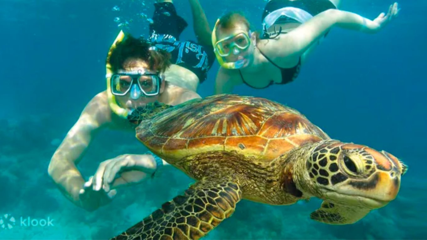 Green Island Full Day Discovery Cruise