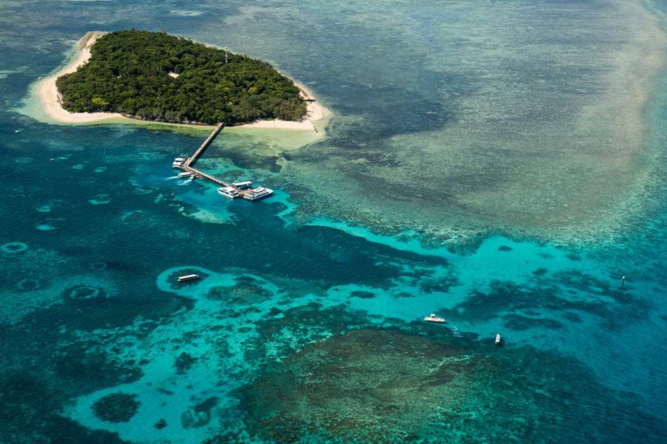 Green Island Great Barrier Reef Cairns