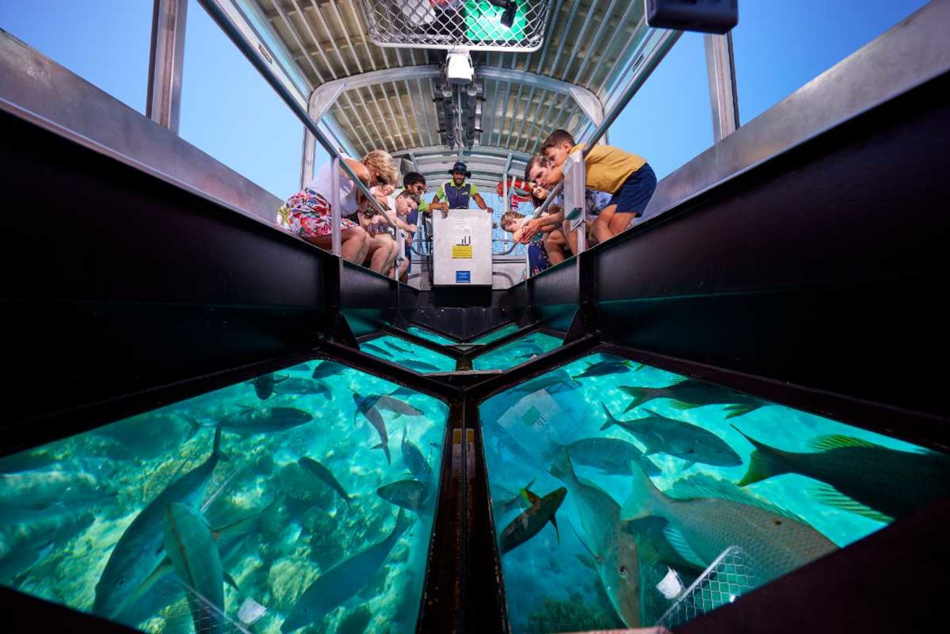 Cairns glass bottom boat tour great barrier reef
