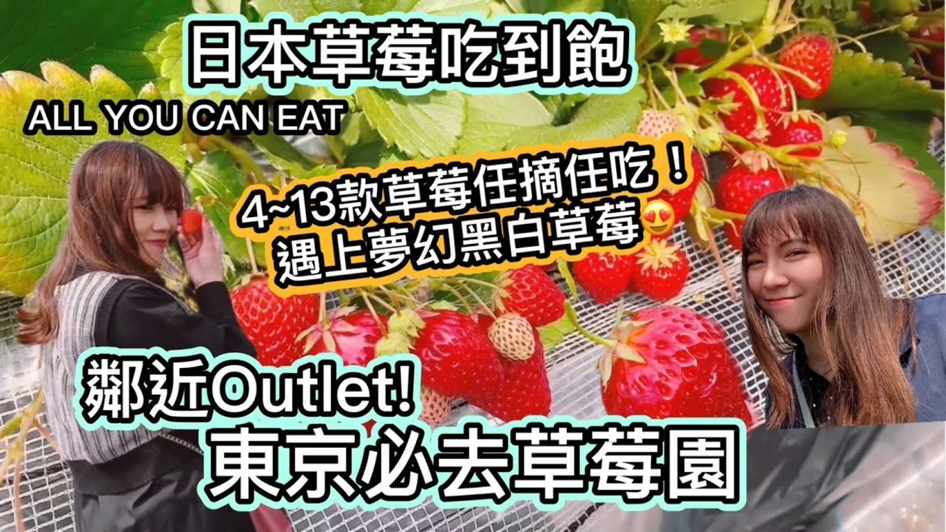 夢幻黑白草莓 日本草莓吃到飽 東京必去 東京必吃草莓 黑白草莓 草莓任食