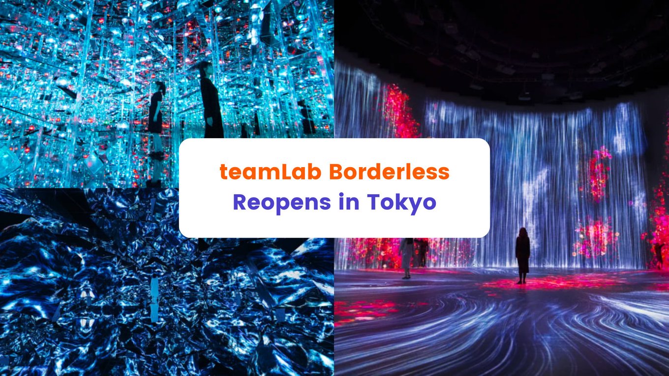 teamLab Borderless Reopens in Tokyo