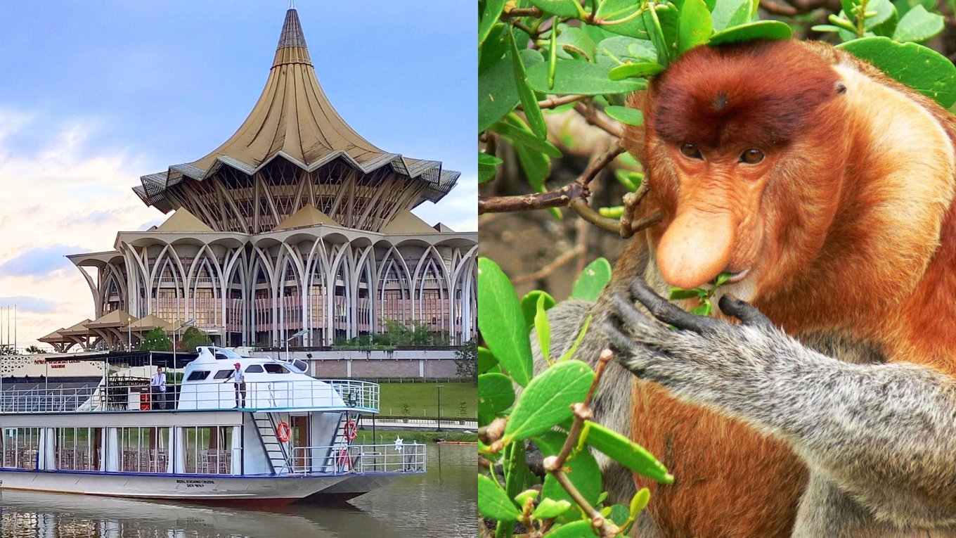Royal Sarawak Cruise and Proboscis monkey