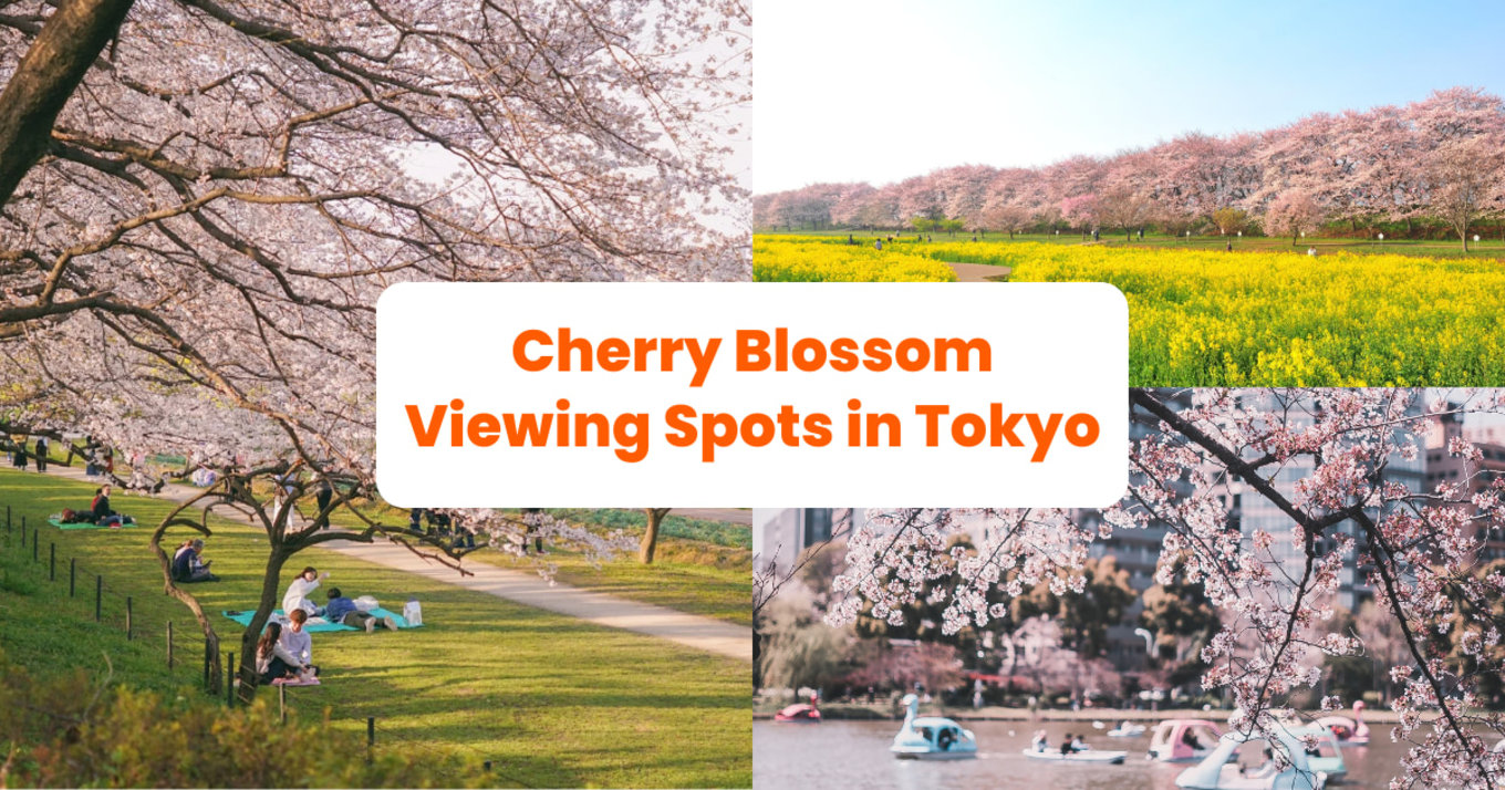 Cherry Blossom Tokyo Banner