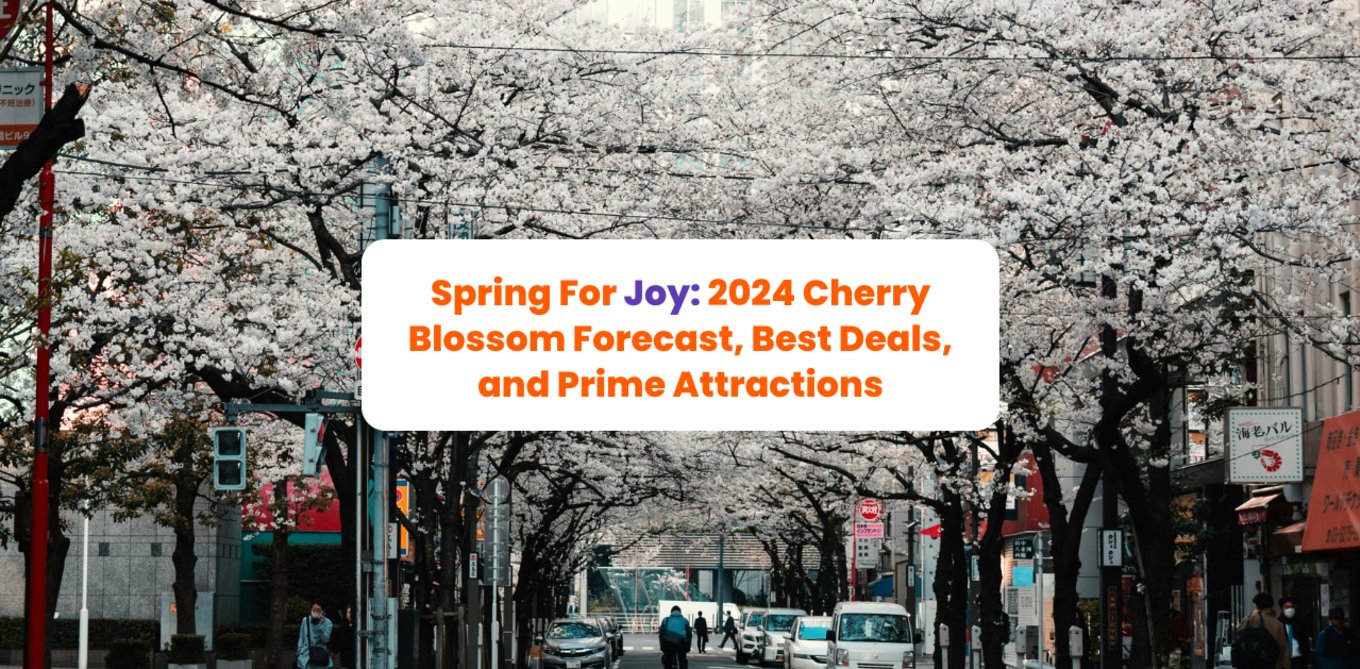 cherry blossom guide and deals