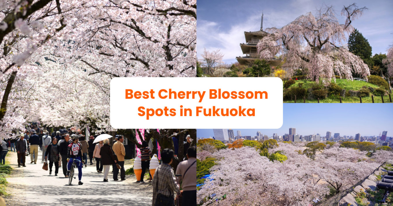 a collage of photos showcasing cherry blossoms in fukuoka, japan, along with the title of the article