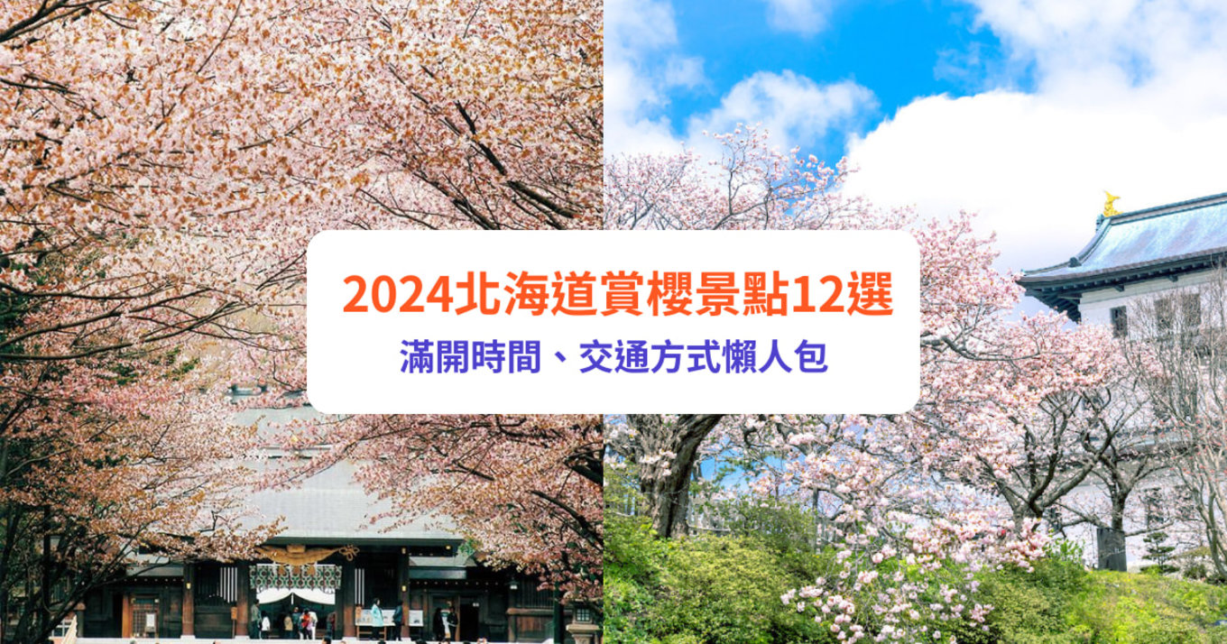 北海道櫻花2024 北海道櫻花 日本櫻花2024 日本櫻花