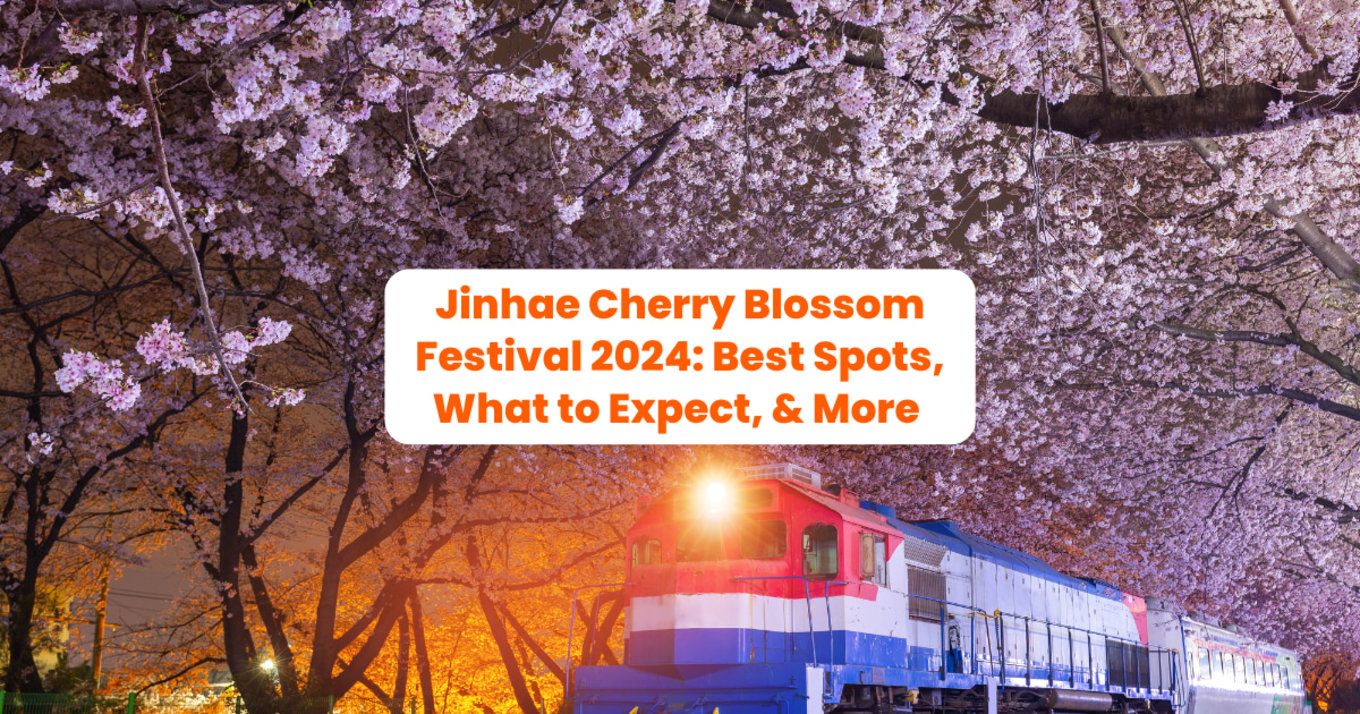 a photo of a train on train tracks with cherry blossoms in full bloom