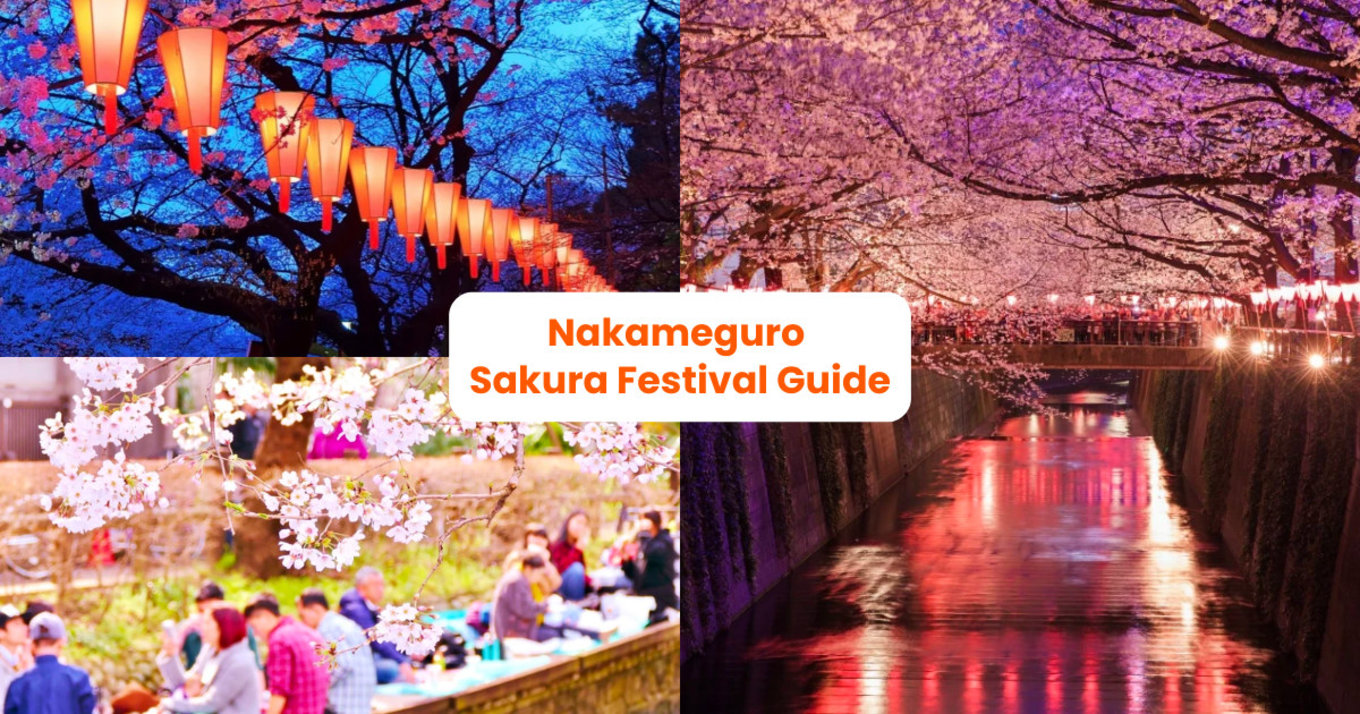 Nakameguro Cherry Blossom Festival Cover