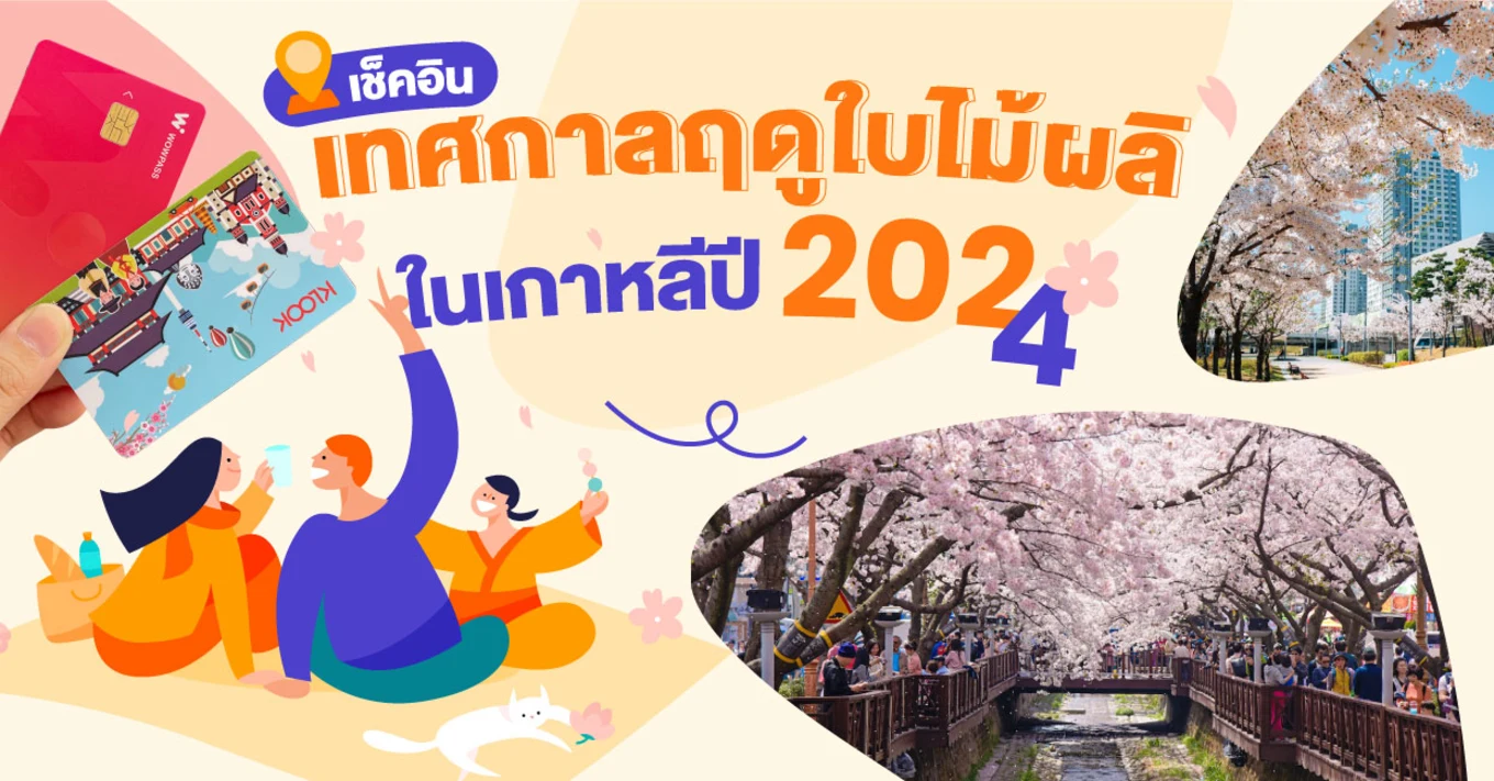 28_เช็คอินเทศกาลฤดูใบไม้ผลิยอดฮิตในเกาหลีปี-2024