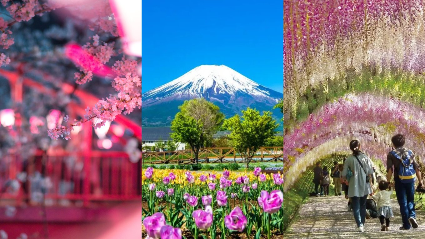 Be mesmerised with Japan's natural beauty.