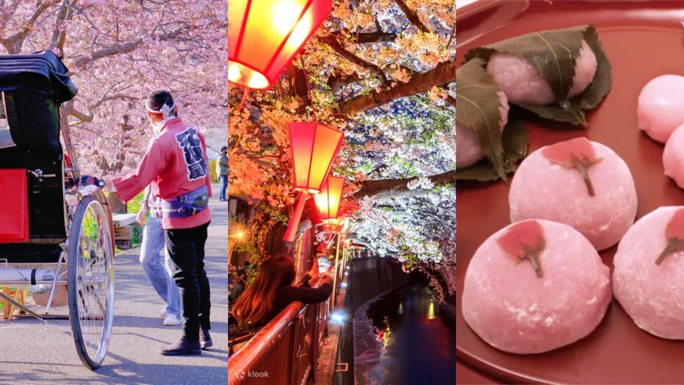 Cherry Blossoms in Japan Is Best Enjoyed with These 5 Activities