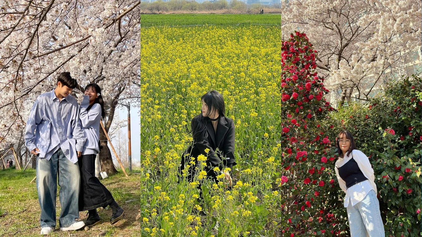 busan spring itinerary