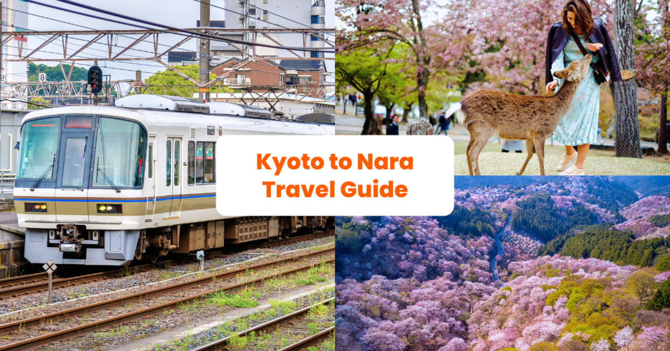 Kyoto to Nara Train with Nara Deer