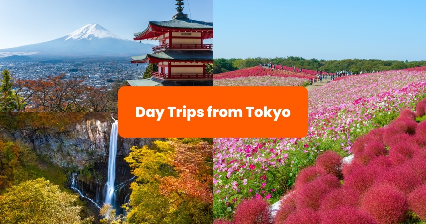 Day Trips from Tokyo - Mount Fuji and More