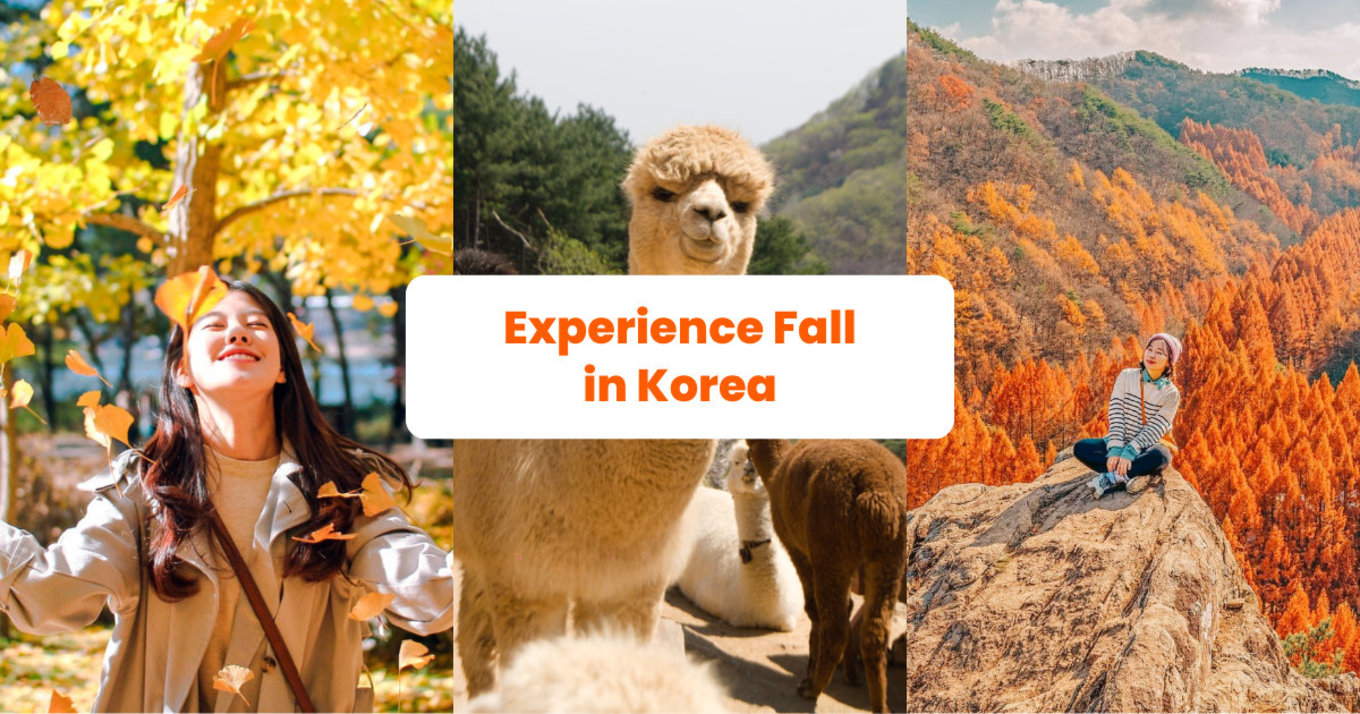 a collage of three photos showcasing fall in korea