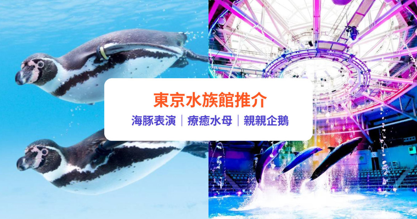 東京水族館推薦｜12大東京及近郊水族館