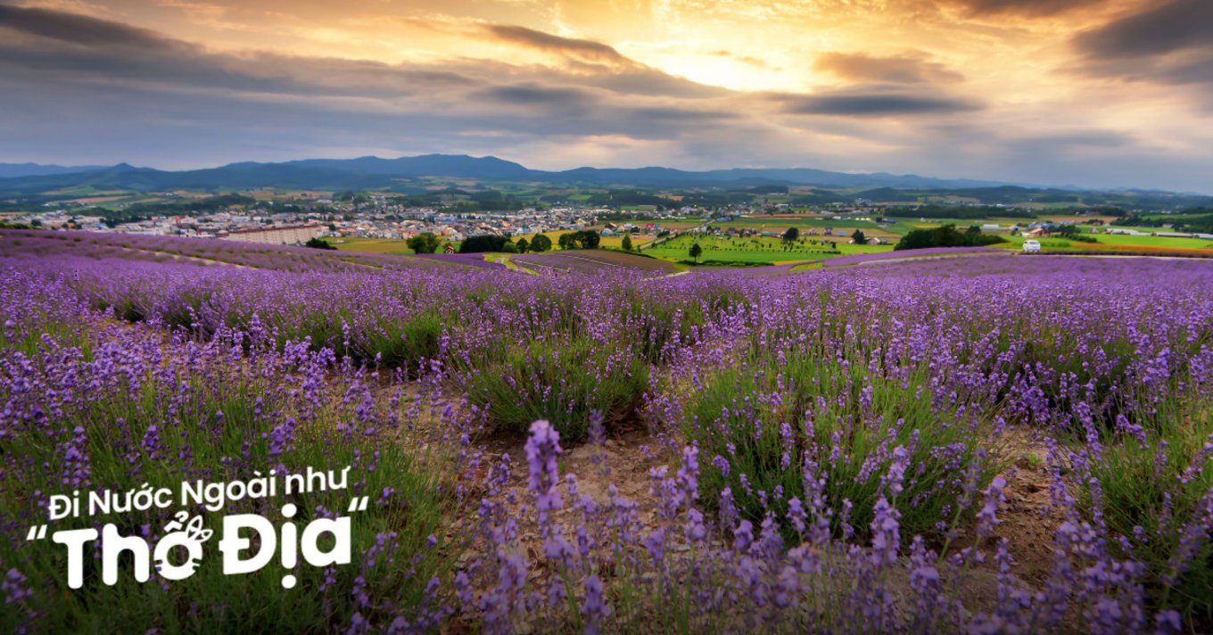 du-lich-hokkaido-thang-8