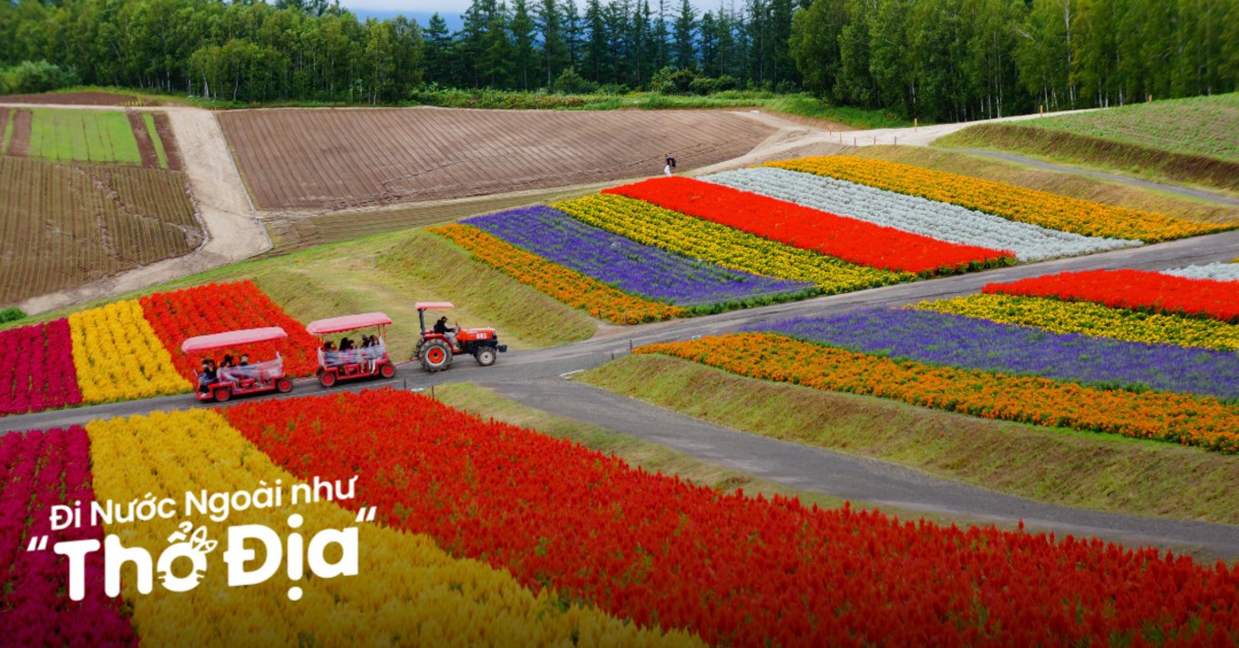 du-lich-hokkaido-thang-9