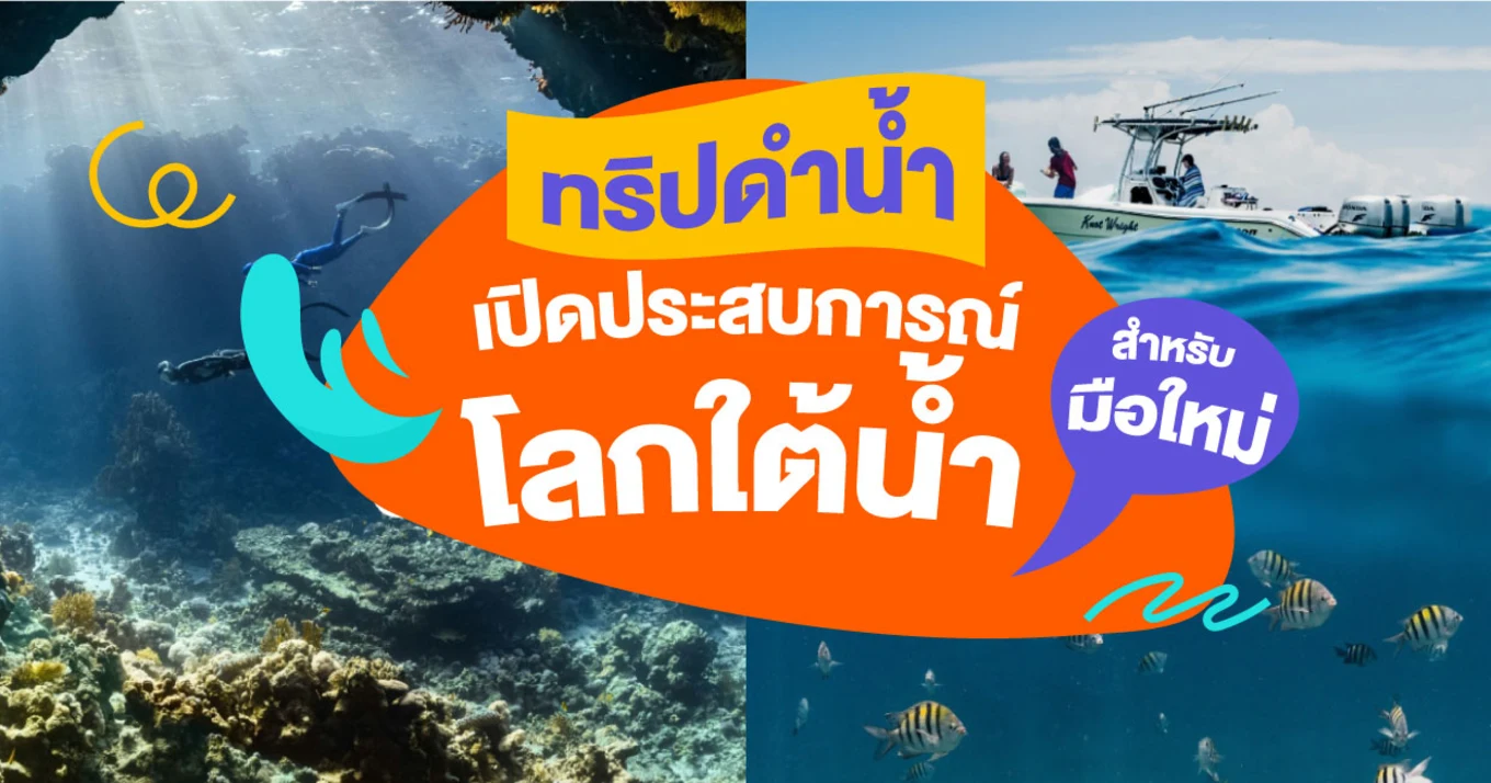 19_ทริปดำน้ำ