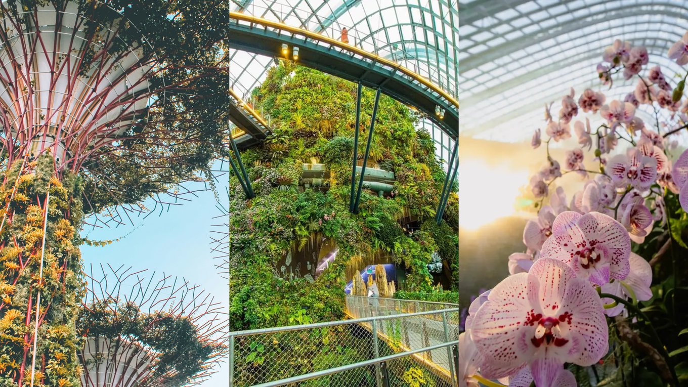 gardensbythebay-singapore-guide head banner