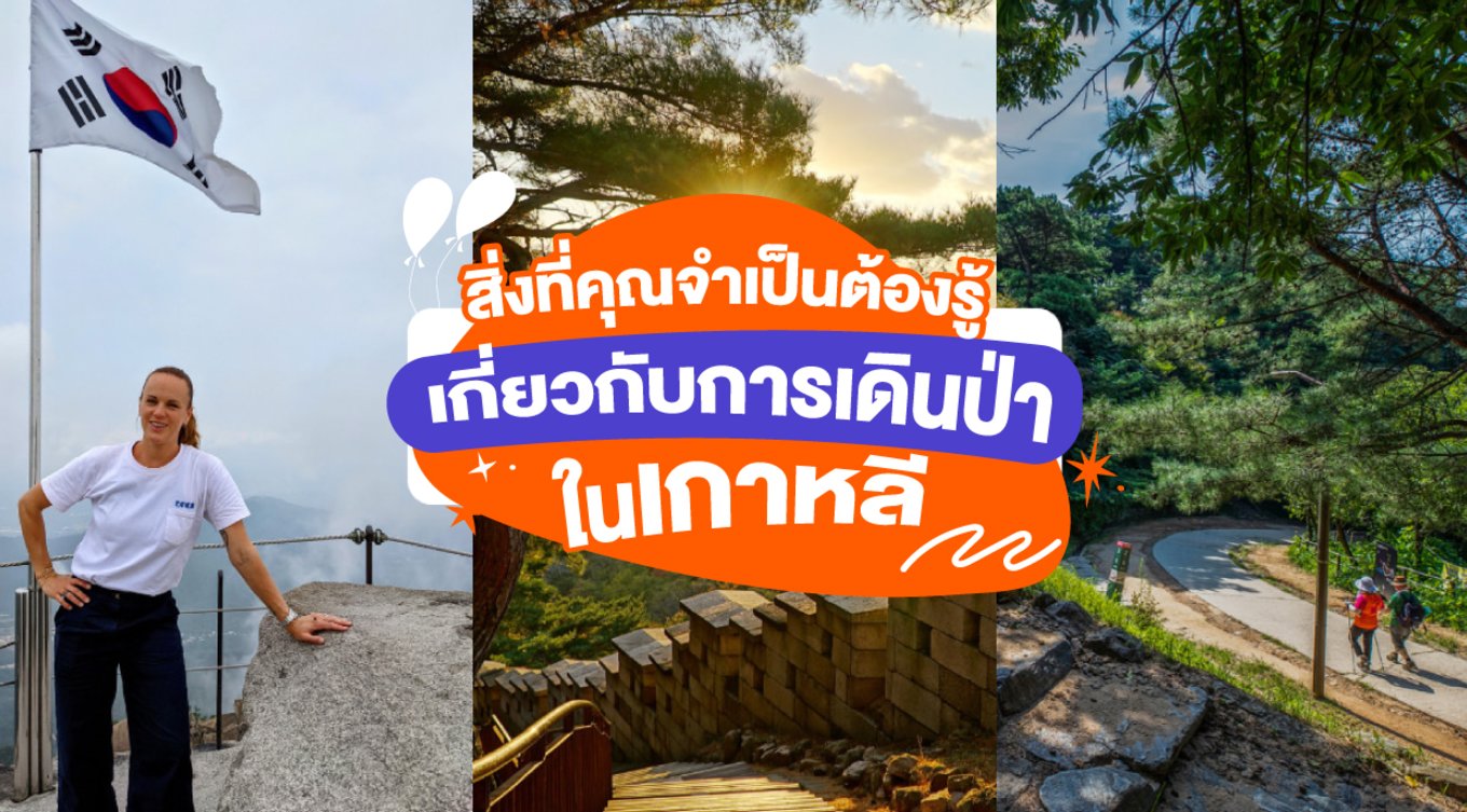 สิ่งที่คุณจำเป็นต้องรู้เกี่ยวกับการเดินป่าในเกาหลี🏞️      