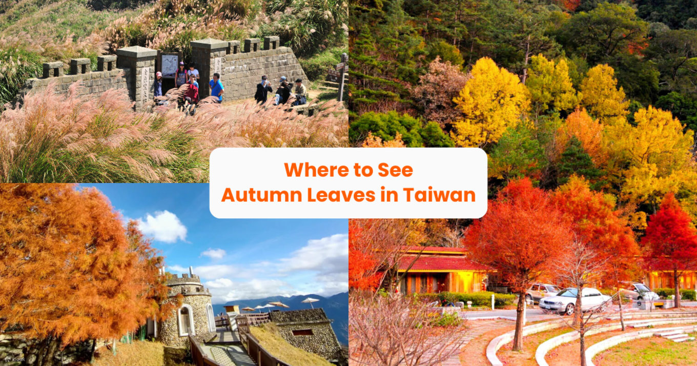 best taiwan autumn spots