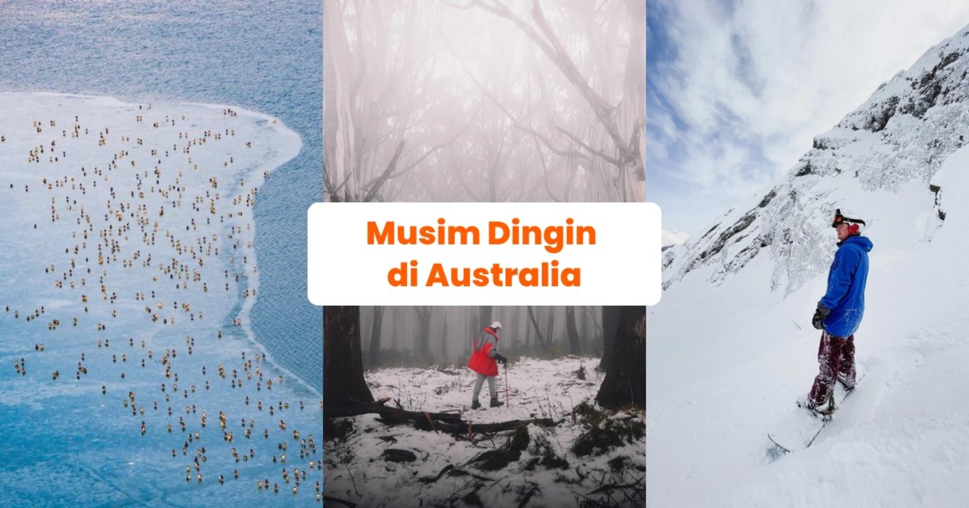 Panduan Musim Dingin di Australia - Blog Cover ID