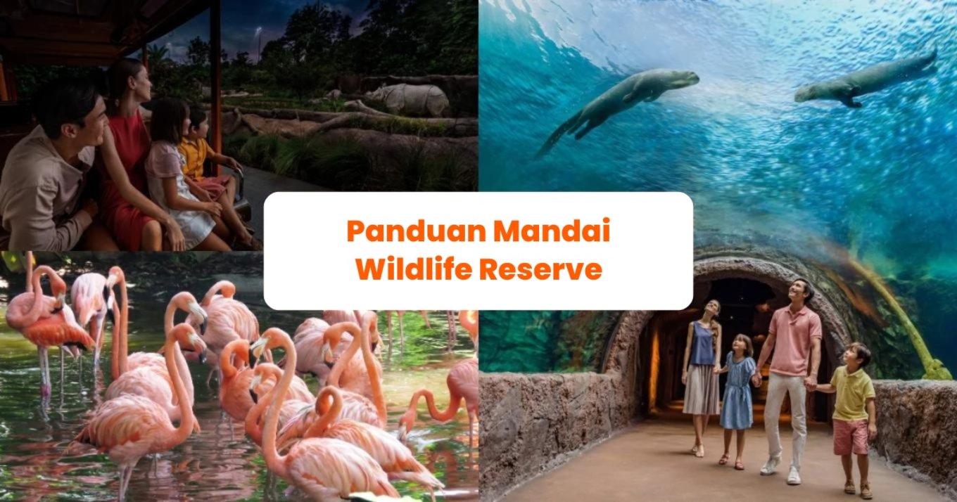 Panduan Mandai Wildlife Reserve Singapura - Blog Cover ID