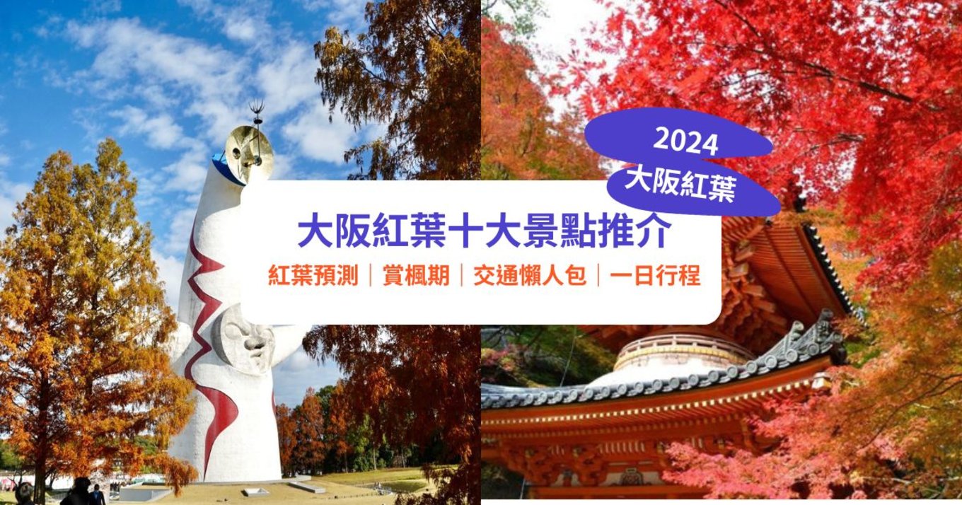 大阪紅葉 日本紅葉 大阪紅葉2023