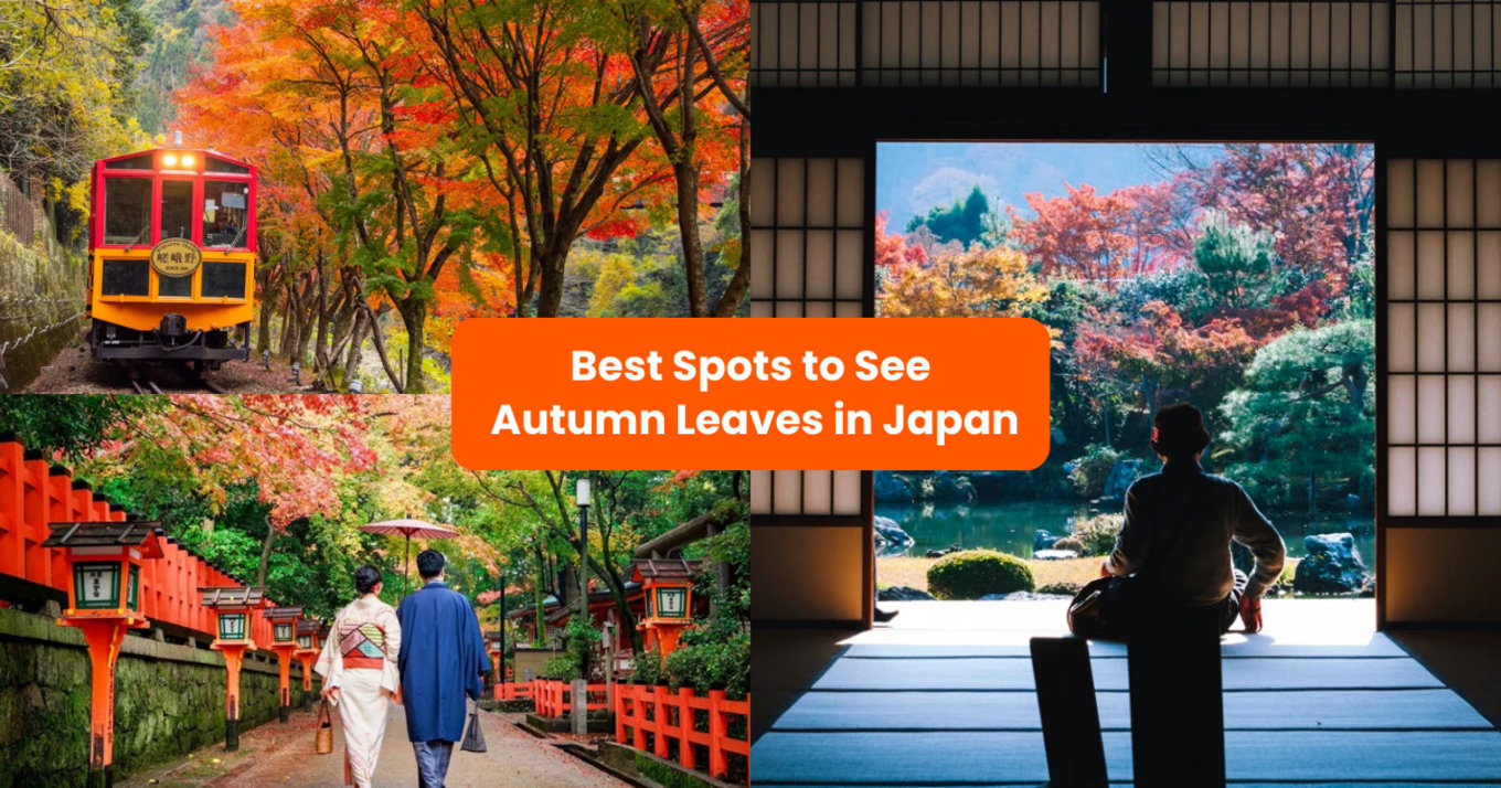 where to see japan autumn foliage 2024