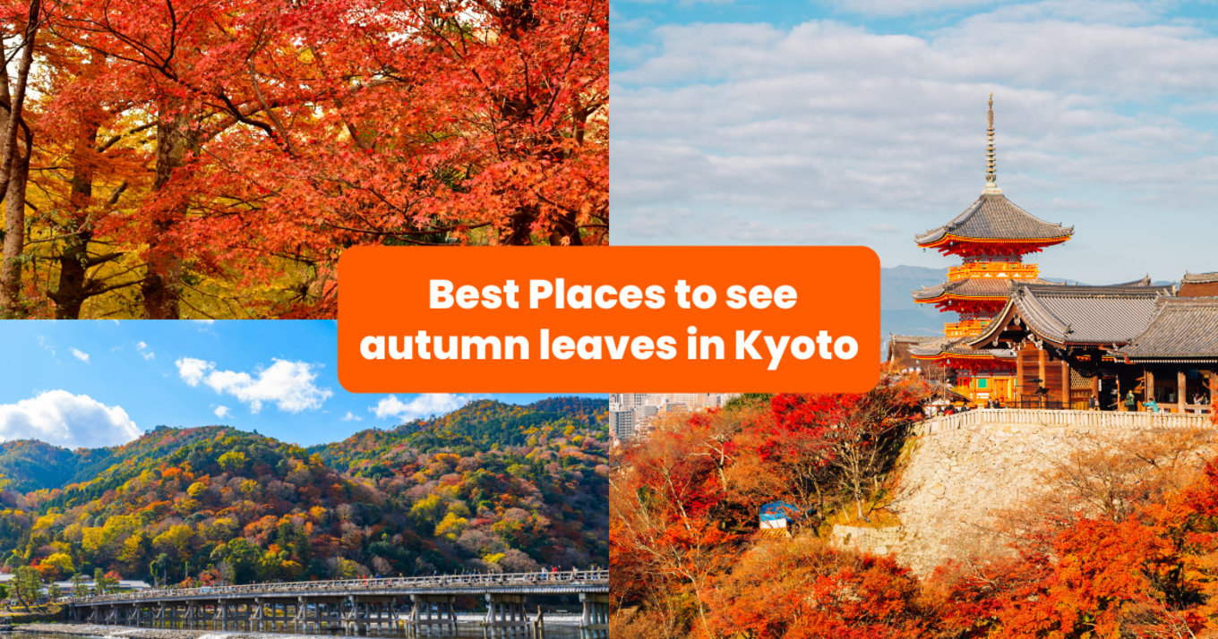 Photos of autumn foliage in Kyoto