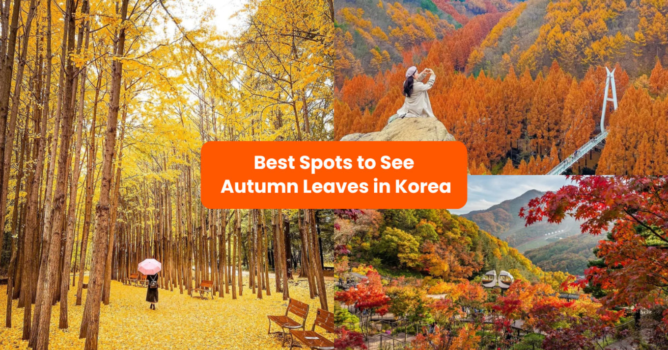 where to see autumn leaves in korea