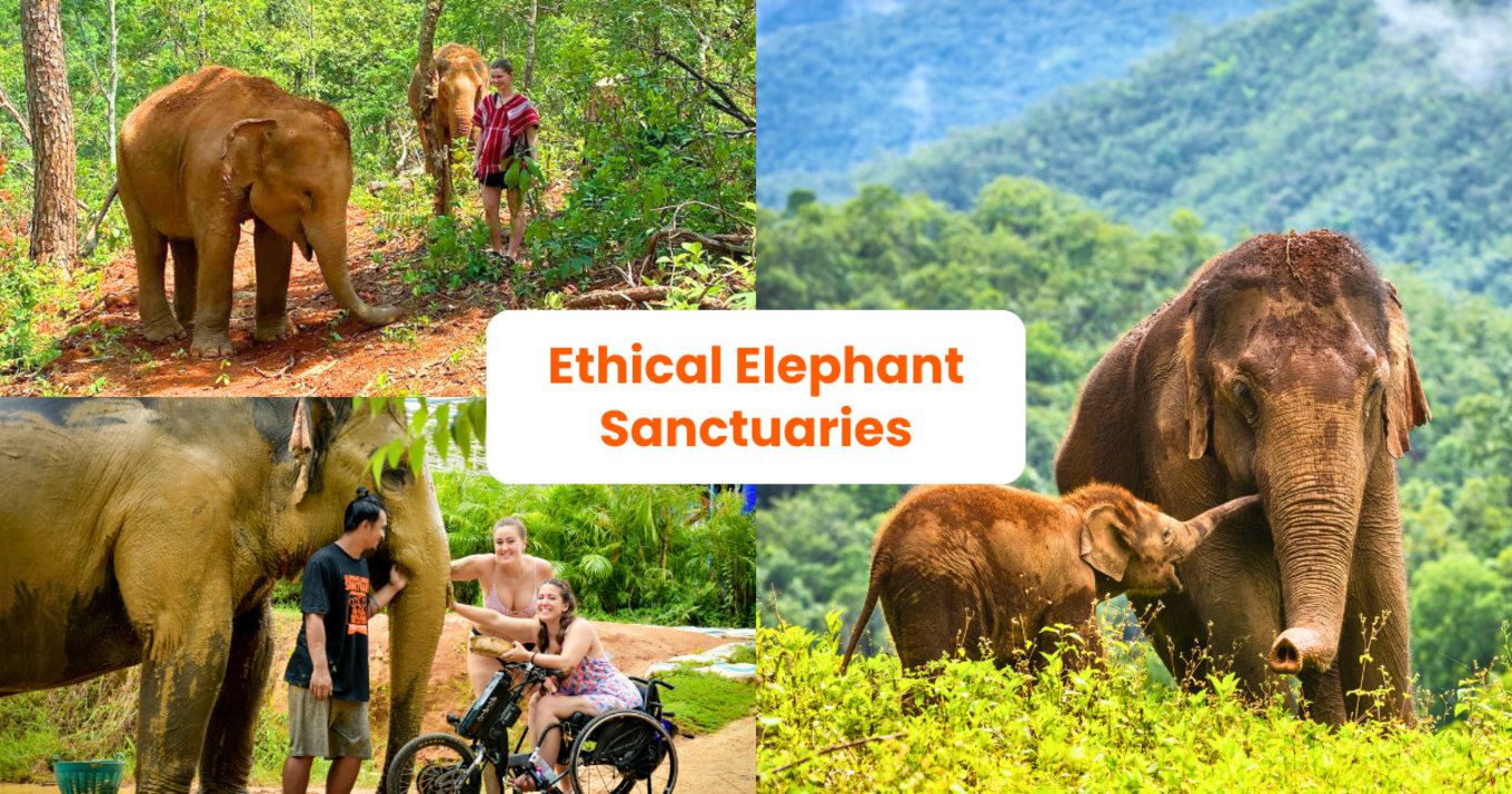 Ethical Elephant Sanctuaries Thailand & Laos