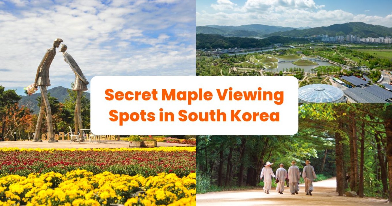 maple viewing spots south korea banner