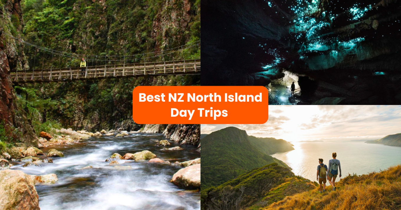 north island new zealand day trips