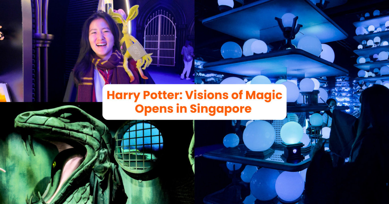 harry potter visions of magic review