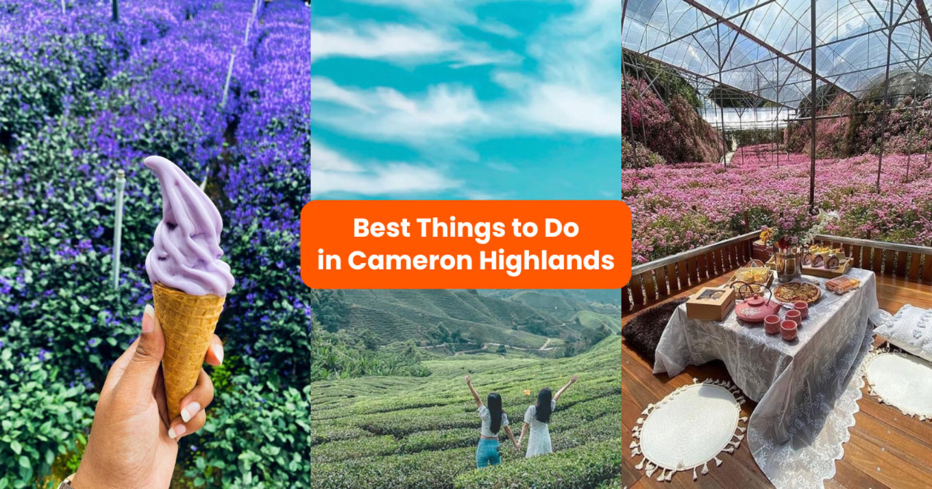 Things to do in cameron highlands