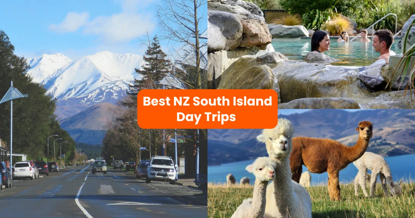 Best Day Trips from Christchurch in South Island New Zealand