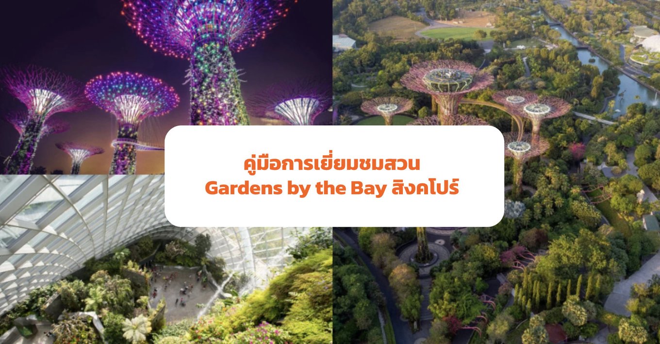 ทุกสิ่งที่คุณต้องรู้เกี่ยวกับการเยี่ยมชมสวน Gardens by the Bay 