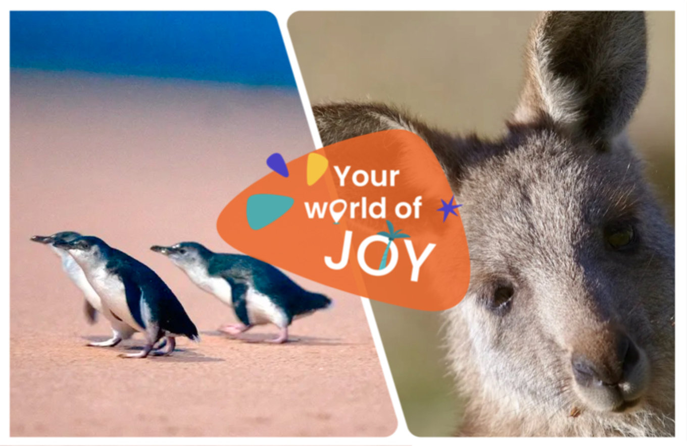 墨爾本菲利普島 封面