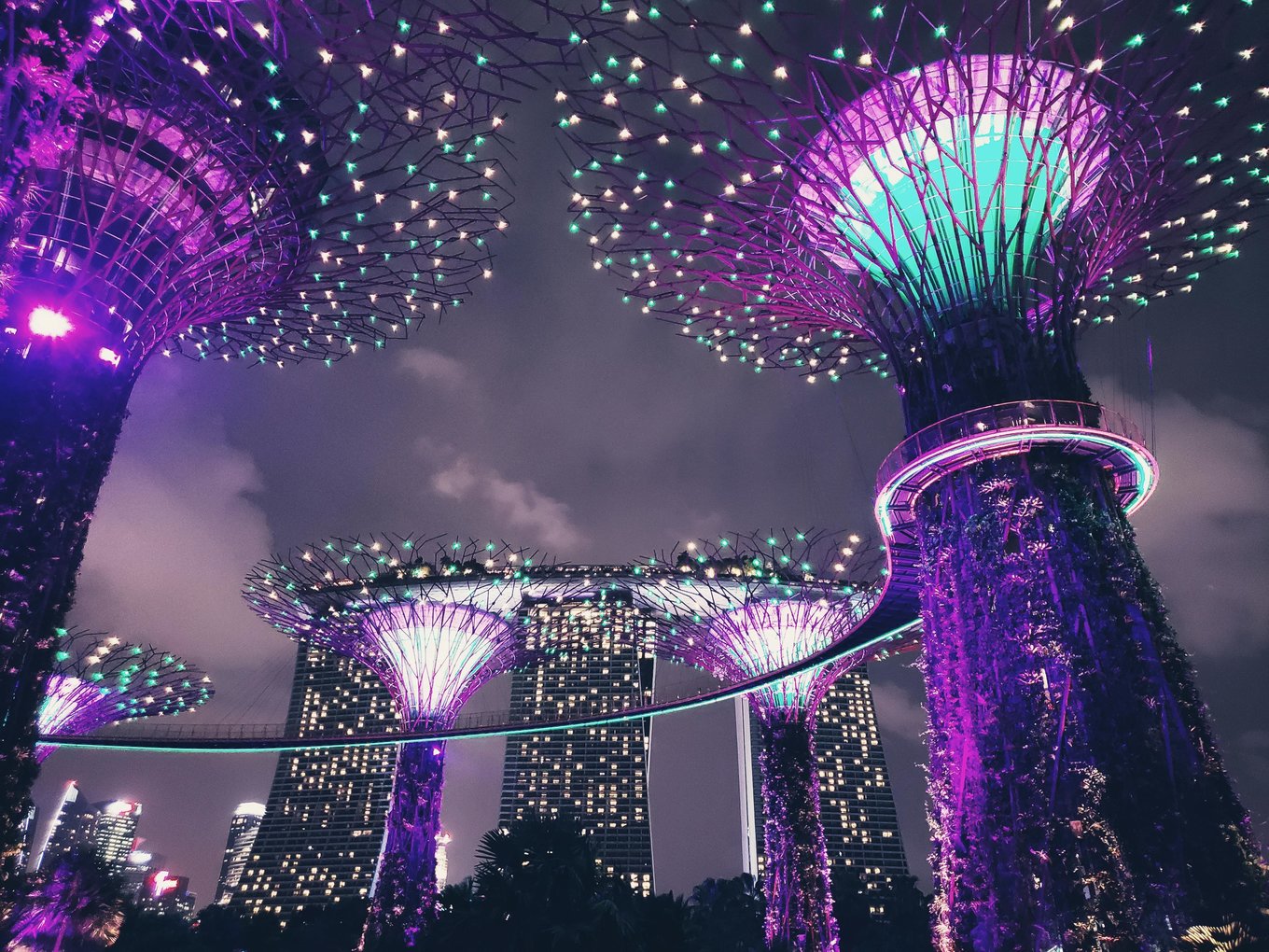 gardens by the bay at night