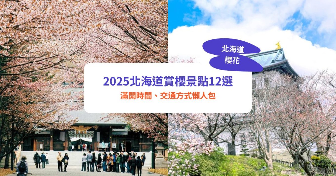 北海道櫻花2025 北海道櫻花 日本櫻花2025 日本櫻花