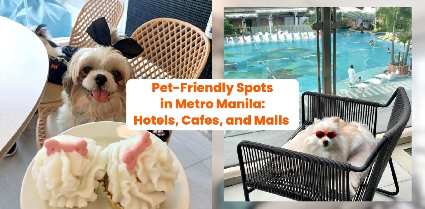 Pet-Friendly Spots in Metro Manila: Hotels, Cafes, and Malls 