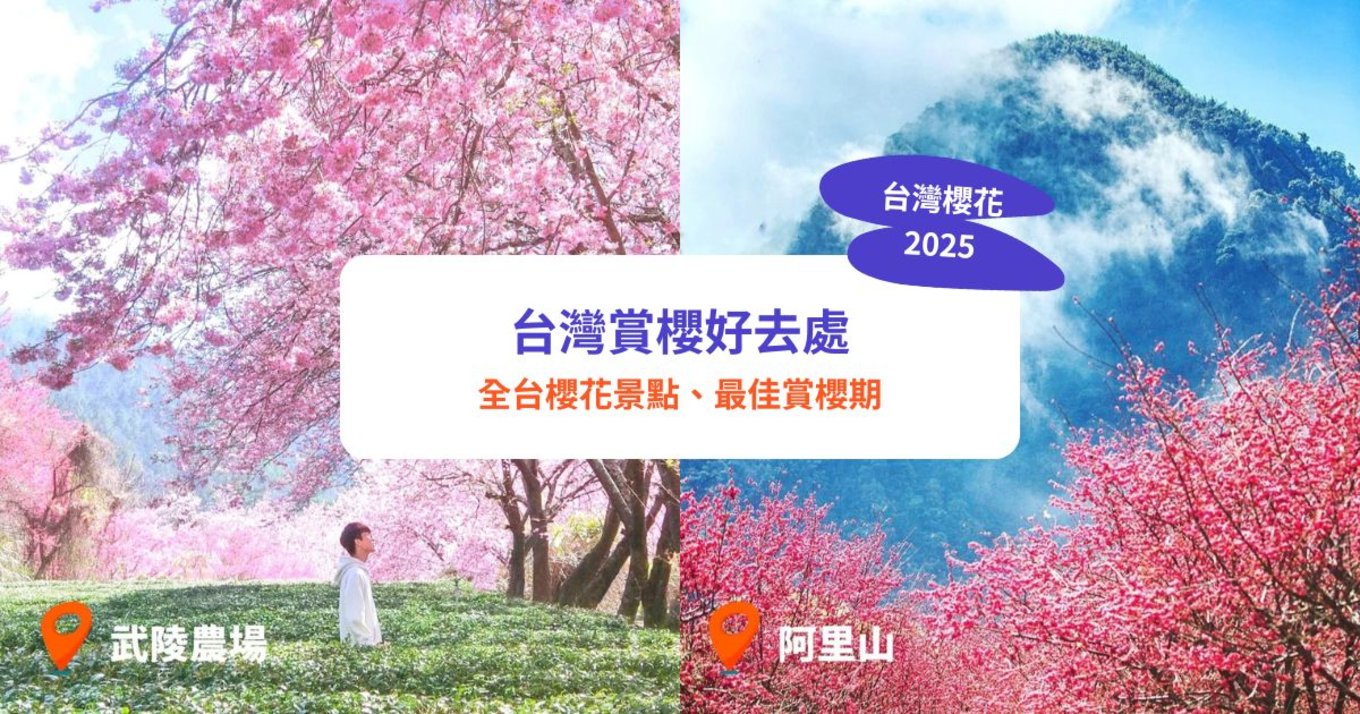 台灣櫻花2025,台灣櫻花,台灣賞櫻好去處